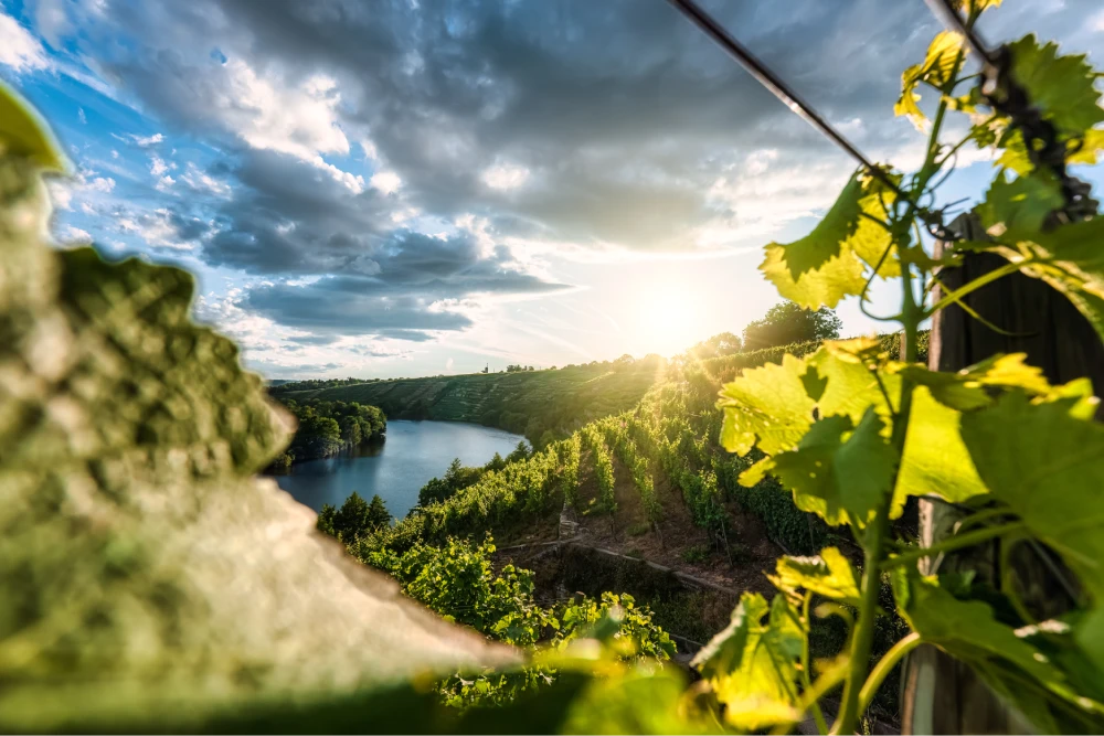 _DSC4084-HDR